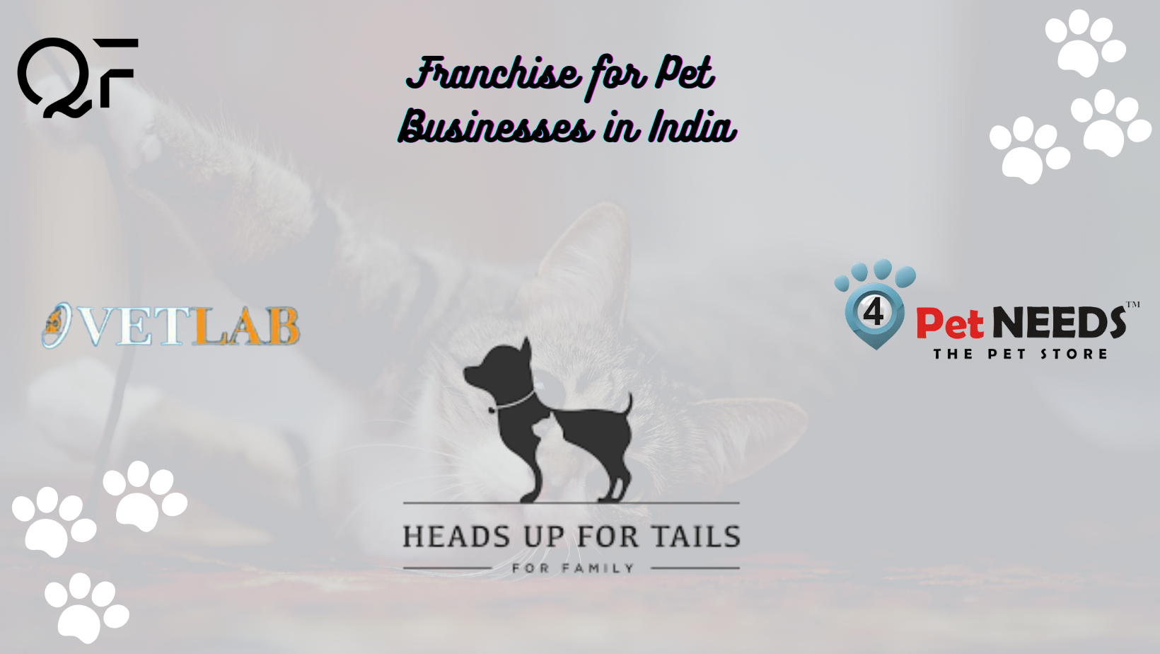 You are currently viewing Franchise for Pet Businesses in India
